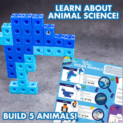 The Young Scientists Club STEM Cubes, Build, Learn & Create with 100+ Math Cubes Manipulatives, 4-in-1 Educational Games, Math Cubes for Kids Ages 4-8, Awesome Learn Through Play Toys
