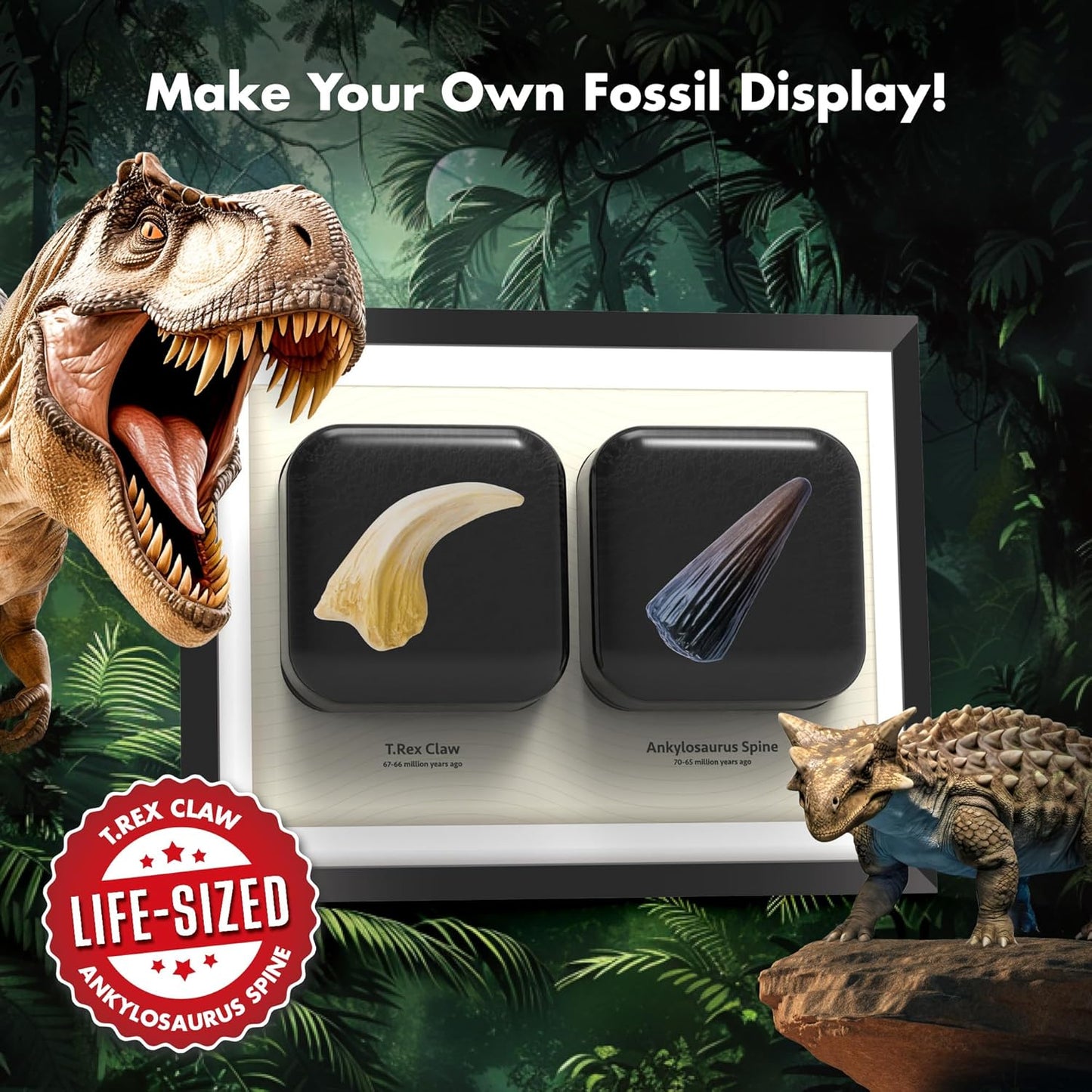 Dinosaur Dig Kit - Excavate 2 Life-Sized Fossils (T.Rex Claw & Ankylosaurus Spine) - STEM Authenticated Science Toy with Tools & Display Frame - Gifts for Boys & Girls Ages 6-12