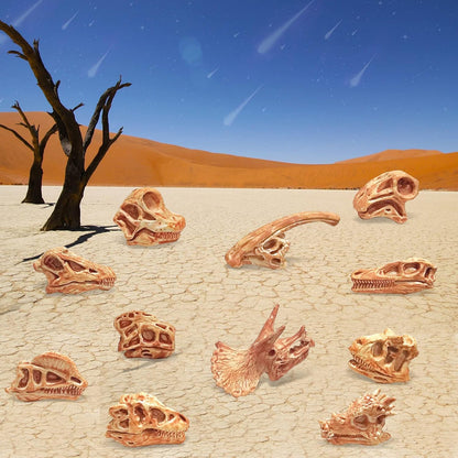 LC JoyCre Mini Dinosaur Bones for Kids Sandbox Toys - Realistic Fake Dinosaur Bones for Kids to Dig Up