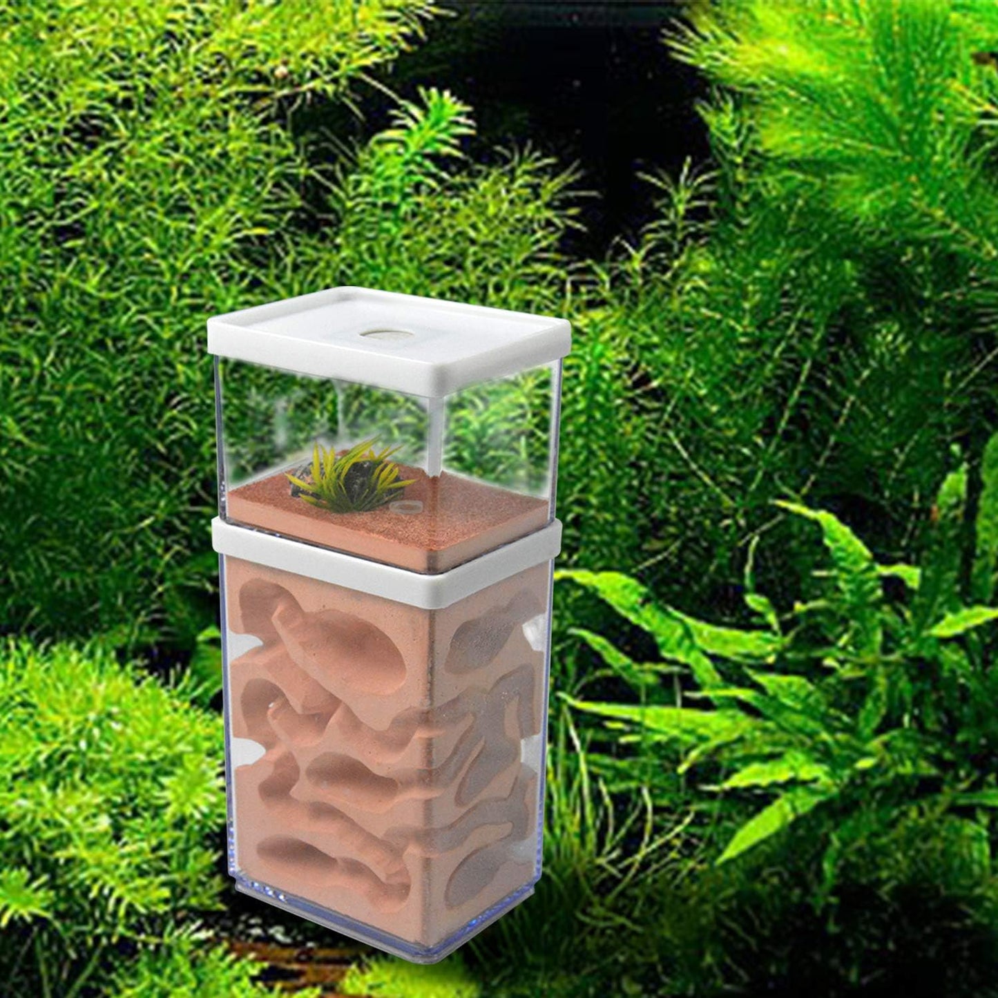 Ecological Ant Nest Farm, Ant Castle Ant Formicarium, Transparent Ant House Plaster Ant Nest, Ant Workshop Insect Villa Ant Feeding Box for Ants Study Science Experiment Gift