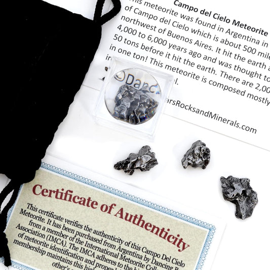 DANCING BEAR Meteorite from Space, 3 pcs Campo del Cielo from Argentina/Educational Card & Magnifying Box