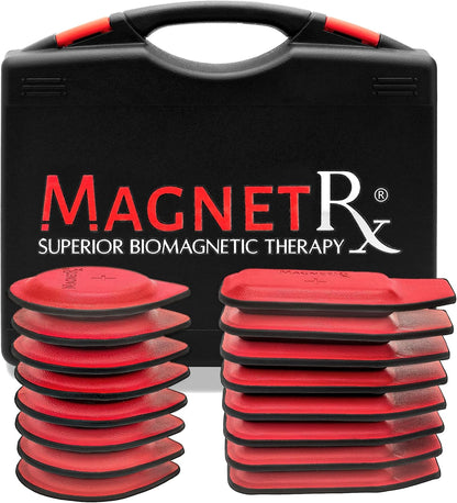 MagnetRX® Biomagnetic Magnets Kit – Imanes para Biomagnetismo Médico – Dr Goiz Magnets for Biomagnetism Bio Magnet Pair – 5200 Gauss Large Round Magnet (6 Units)