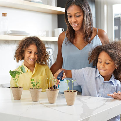 Back to the Roots Terrarium Grow Kit - Easy-to-Use DIY Set for All Ages Small