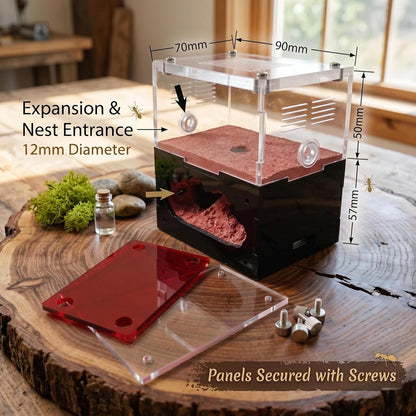 Formicarium – Ant Farm Habitat Kit for Behavior Observation, Educational Terrarium for Adults and Kids