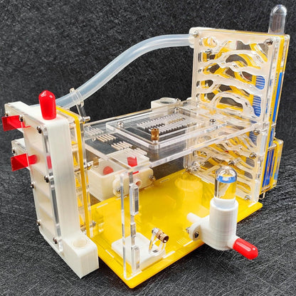 DIY ANT Farm Castle Observation ANT Viewing Habitat for Home Students