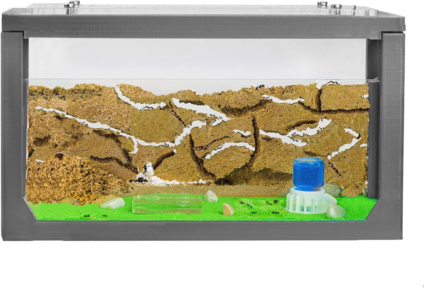 Anthouse.ES - 3D Aquarium-Style Natural Ant Farm - Sand Ant Farm - Complete Kit with Sand and Accessories - Starter Model 20x10x10 cm - Grey Color