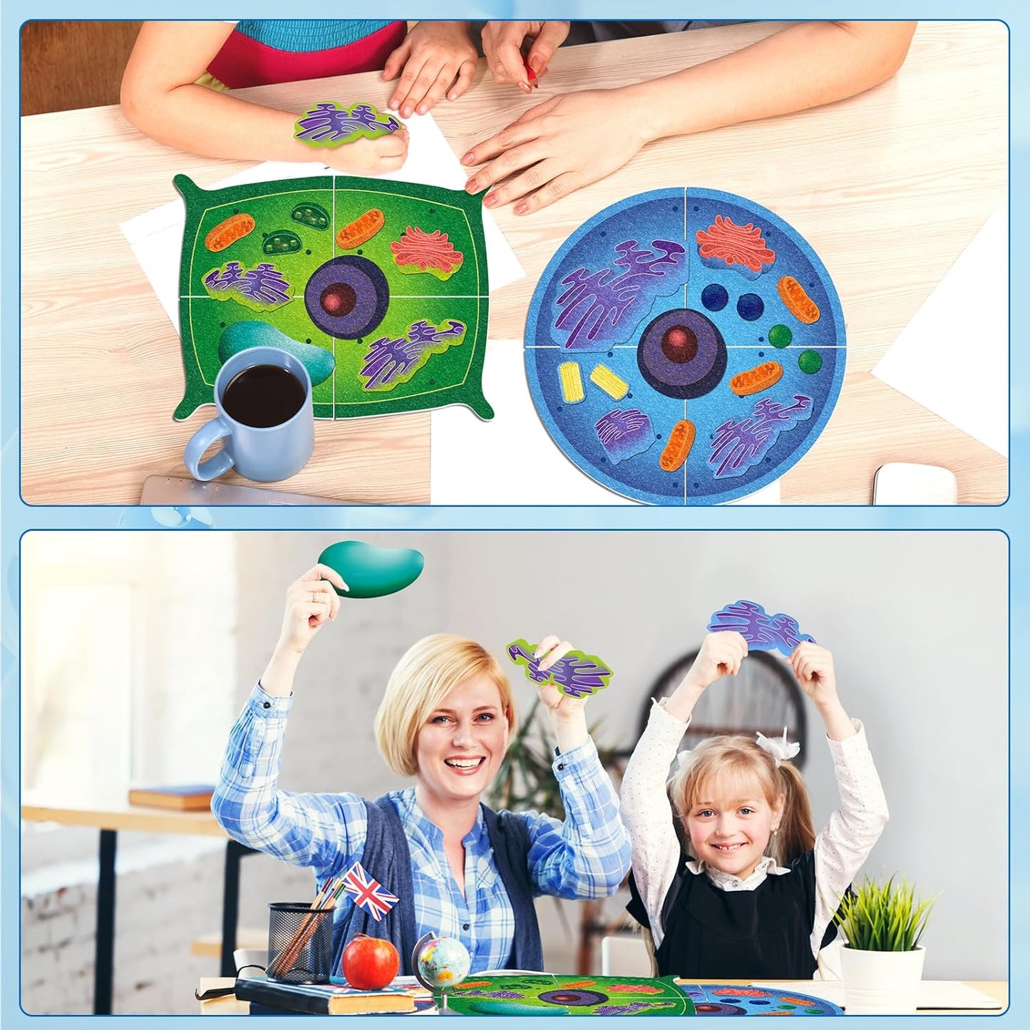 2 Set Giant Felt Animal and Plant Cell Anatomy Model Kits Early Biology Cell Model Life Science Toys Animal Plant Bacteria Science Kit for Boys Girls Classroom Educational Learning