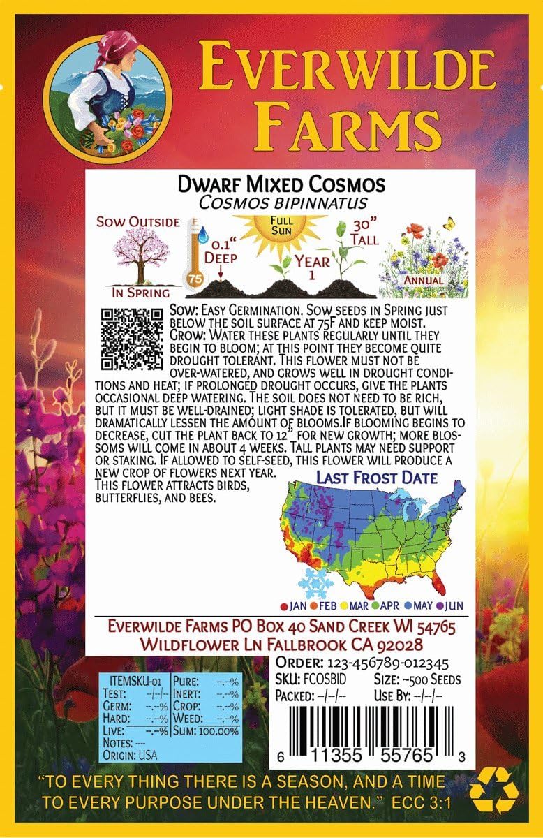Everwilde Farms - 500 Dwarf Mixed Cosmos Wildflower Seeds - Gold Vault Jumbo Seed Packet