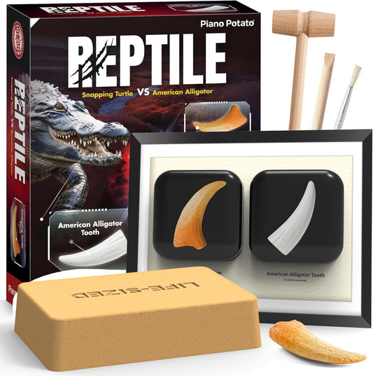 Dinosaur Dig Kit - Excavate 2 Life-Sized Fossils (T.Rex Claw & Ankylosaurus Spine) - STEM Authenticated Science Toy with Tools & Display Frame - Gifts for Boys & Girls Ages 6-12