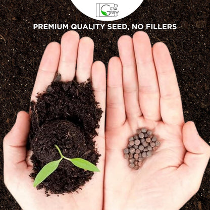 Mini Wildflower Seed Shaker - Save The Bees Seed Mix, by GevaGrow | 80,000+ Seeds | Pollinator & Bee Attracting Flower Seeds Bulk for Planting in Pots & Outdoor Gardens | 2 Ounce