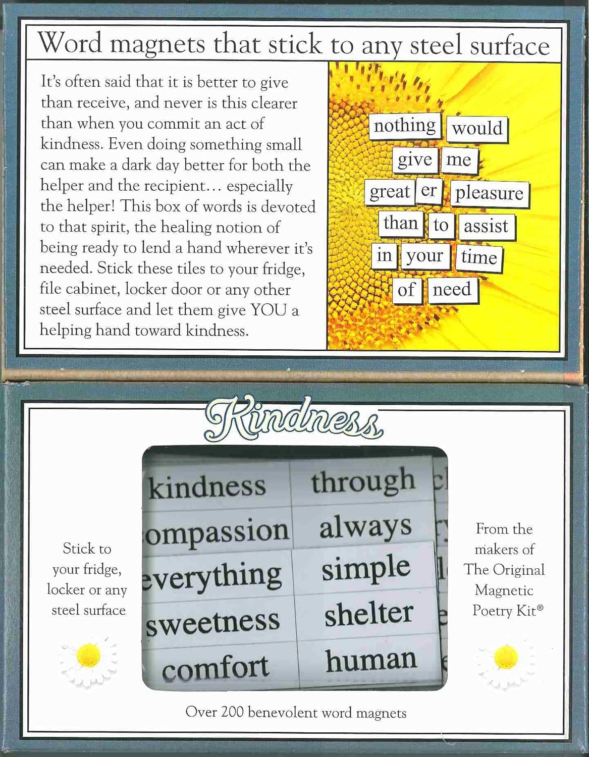 Magnetic Poetry Awesome Kit - Words for Refrigerator - Write Poems and Letters on The Fridge - Made in The USA