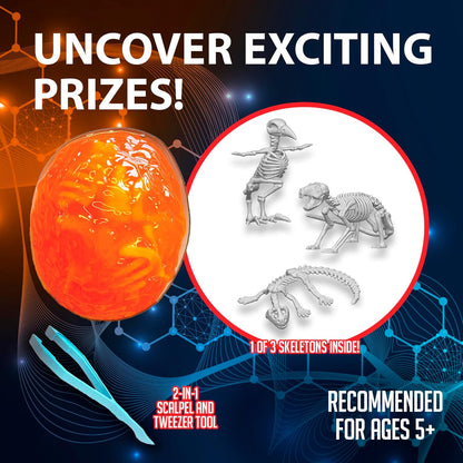Dissect-It Discover-It Dinosaur Dig Kit, Dissecting Gel Kids Science Kit Project to Learn Anatomy, STEM Toys for Ages 6 and Above