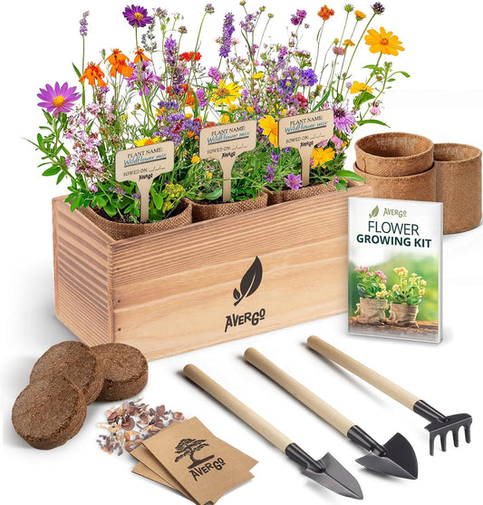 AVERGO Wildflower Seed Mix Growing Kit - Includes Perennial & Annual Wild Flowers, Burlap Planters, Soil, Wooden Box, and Gardening Tools for Indoor Garden and Patio Planting