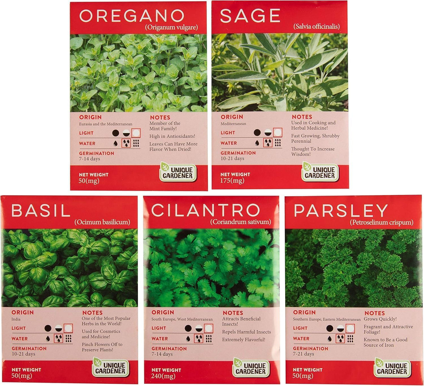 Herb Indoor Kitchen Window Garden Terrarium Starter Kit - Grow Your Own Basil, Oregano, Rosemary Sage, Cilantro, & Parsley - Includes Soil, Seeds & Complete Supplies - Unique Indoor House Plants