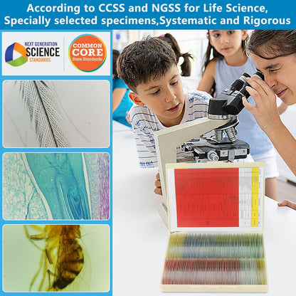 Microscope Slides with Specimens for Kids, 30 Lab-Grade Prepared Microscope Slides, Animal Plant Microbe Cells, STEM Biology Kit for Kids Ages 6-8 Homeschool, Classroom Labs & Science Education