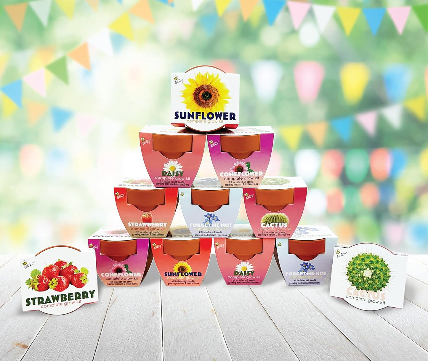 BUZZY Seeds 12-Pack Sunflower Mini Grow Pots – All-in-One Terracotta Flower Starter Kit with Growing Medium, DIY Gardening, Wedding and Shower Favors