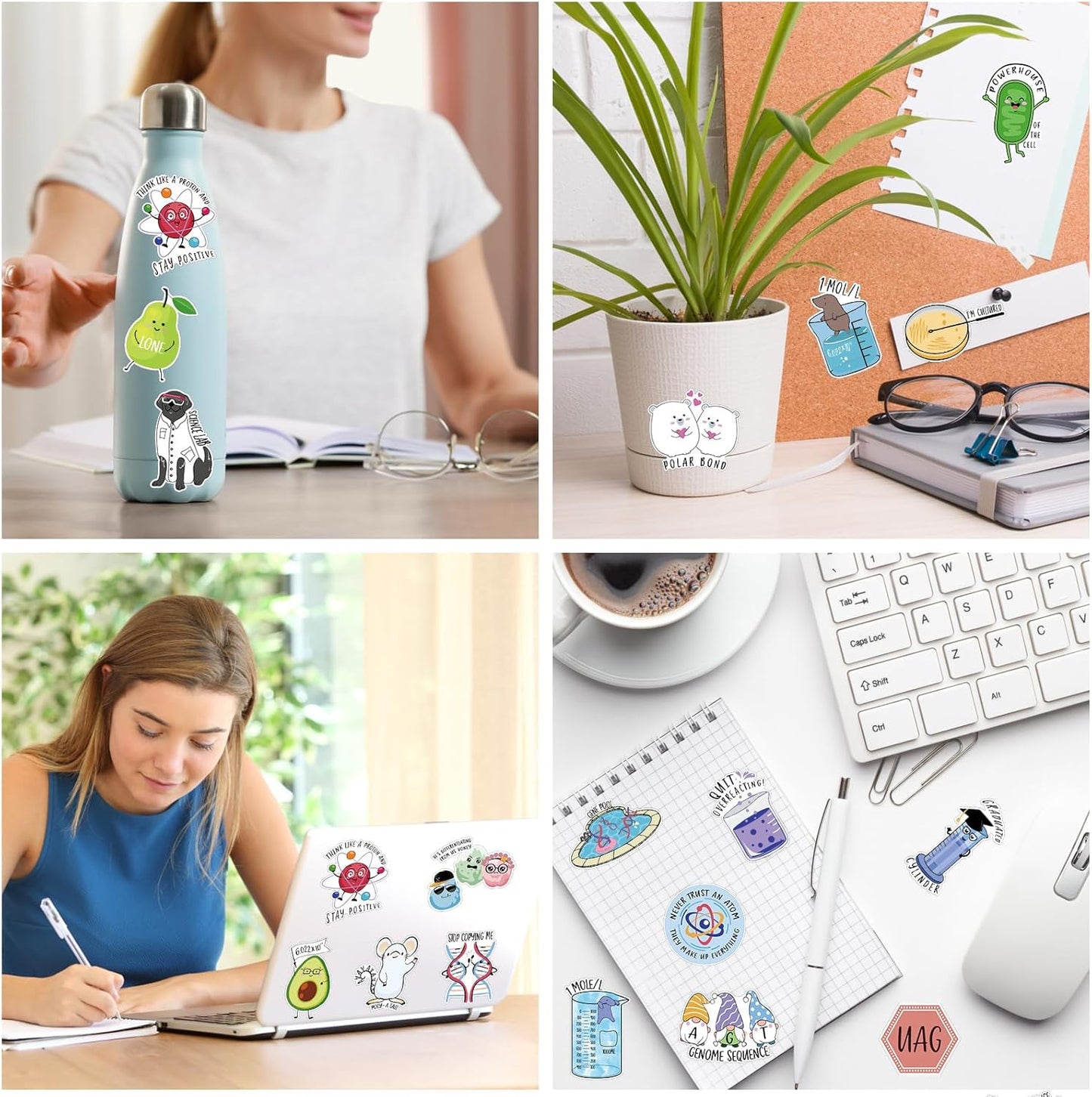 500 Pcs Punny Chemistry Stickers Natural Sciences Stickers Funny Biology Experiment Decals for Water Bottle Laptop Phone Notebook Luggage Decor, 25 Styles