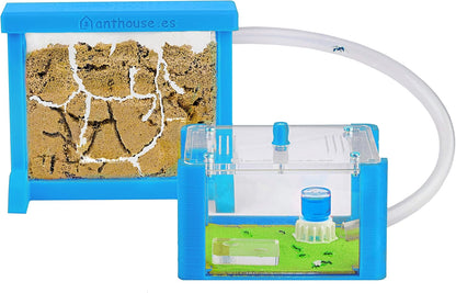Anthouse.ES - Natural Sand Ant Farm - Basic Acrylic Kit (Sandwich + Foraging Box) - 12x10x1 cm and 18x10x5 cm