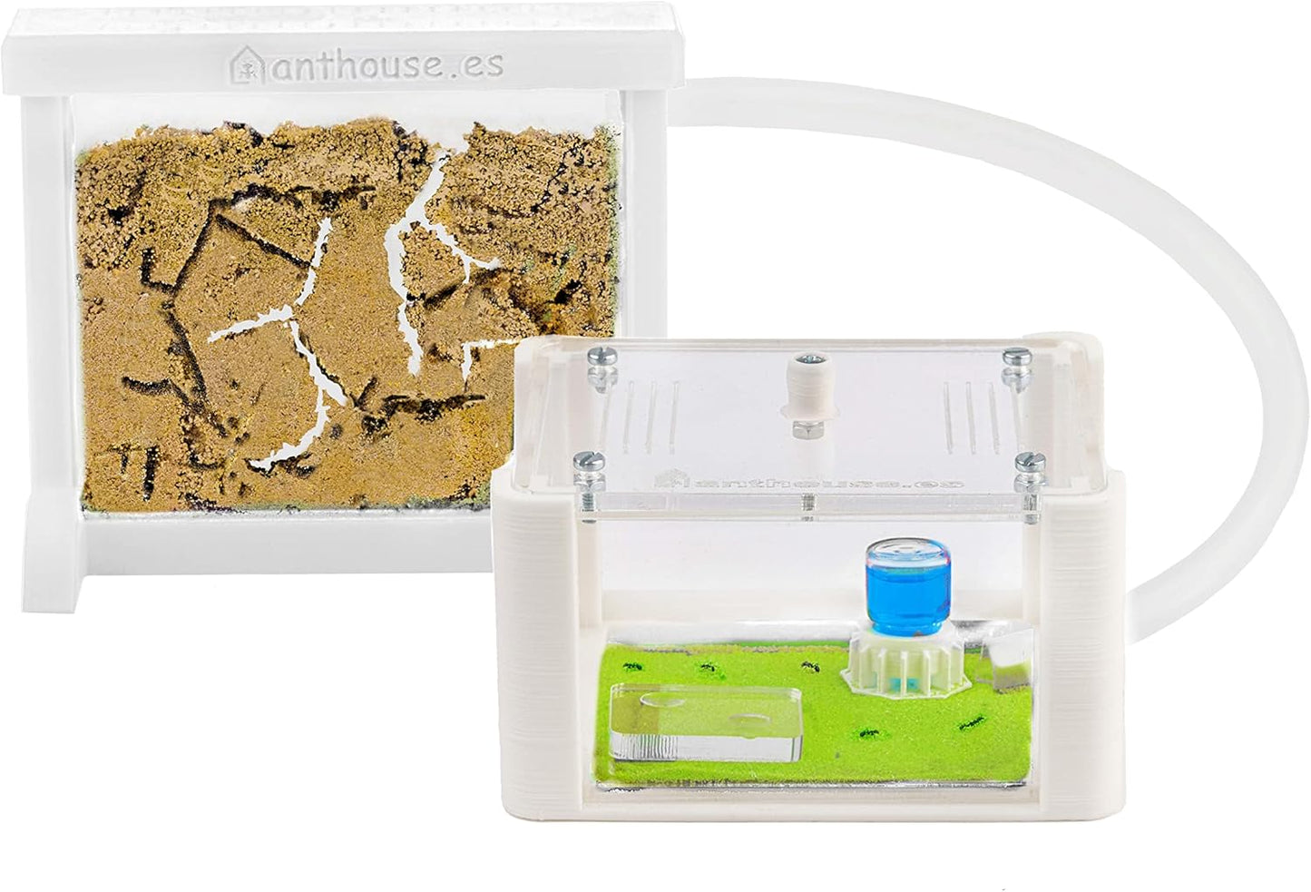 Anthouse.ES - Natural Sand Ant Farm - Basic Acrylic Kit (Sandwich + Foraging Box) - 12x10x1 cm and 18x10x5 cm