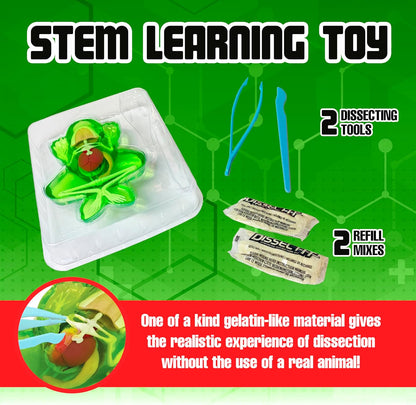 Dissect-It Discover-It Dinosaur Dig Kit, Dissecting Gel Kids Science Kit Project to Learn Anatomy, STEM Toys for Ages 6 and Above