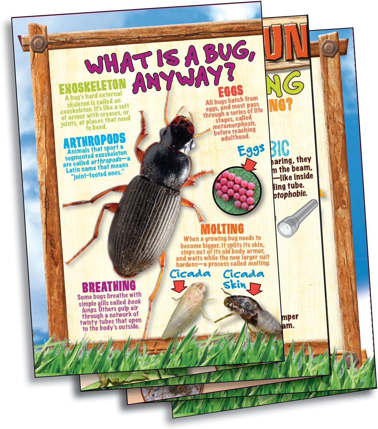 SmartLab Toys Bug Playground Insect Inspector Lab