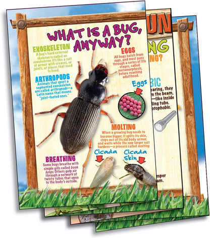 SmartLab Toys Bug Playground Insect Inspector Lab