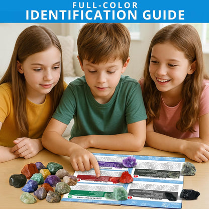 PIBEX Rock Collection Starter Kit - 54 Pcs Assorted Gemstones, Crystals, Rocks & Minerals, with Learning Book & ID Cards, Earth Science Kit Toy, A Geology Gift for Kids & Adults Ages 8+
