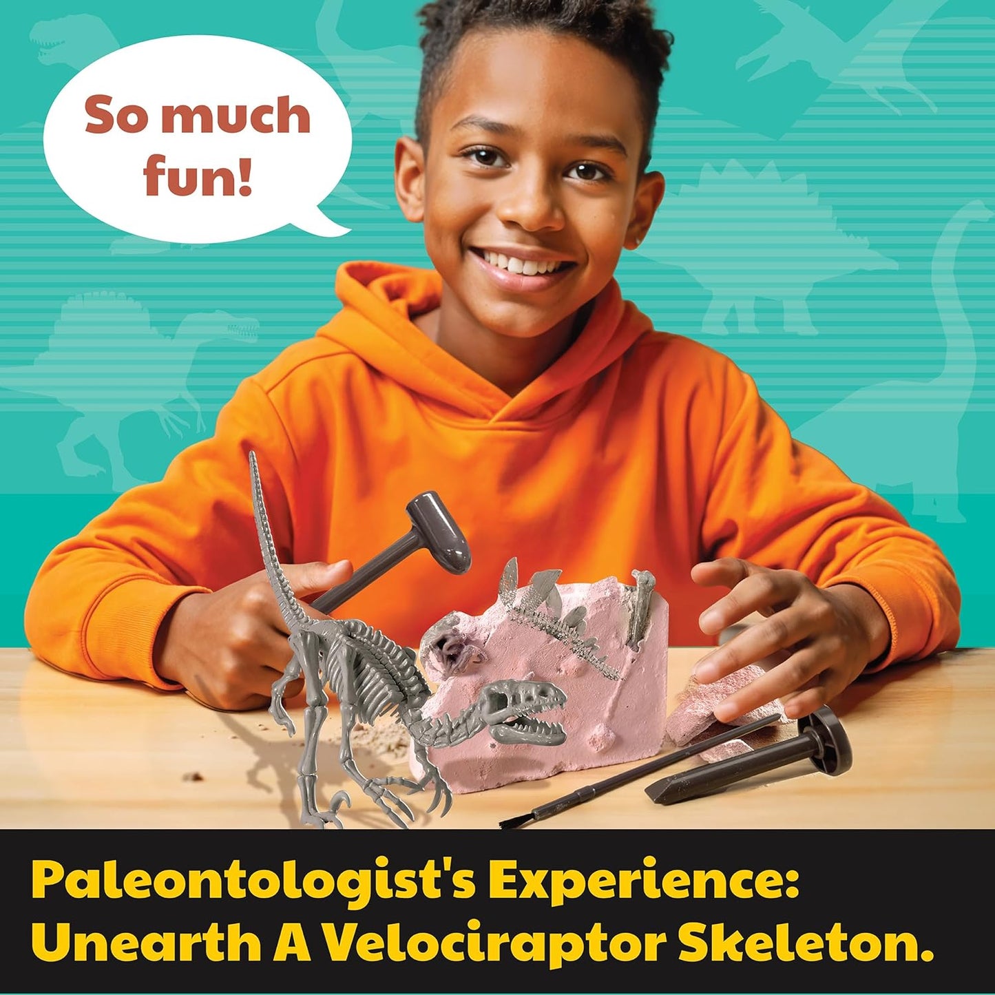 KidzLabs Dig a Pteranodon Skeleton Kit, Fossil Excavation Set, Ages 8+, 1 Piece