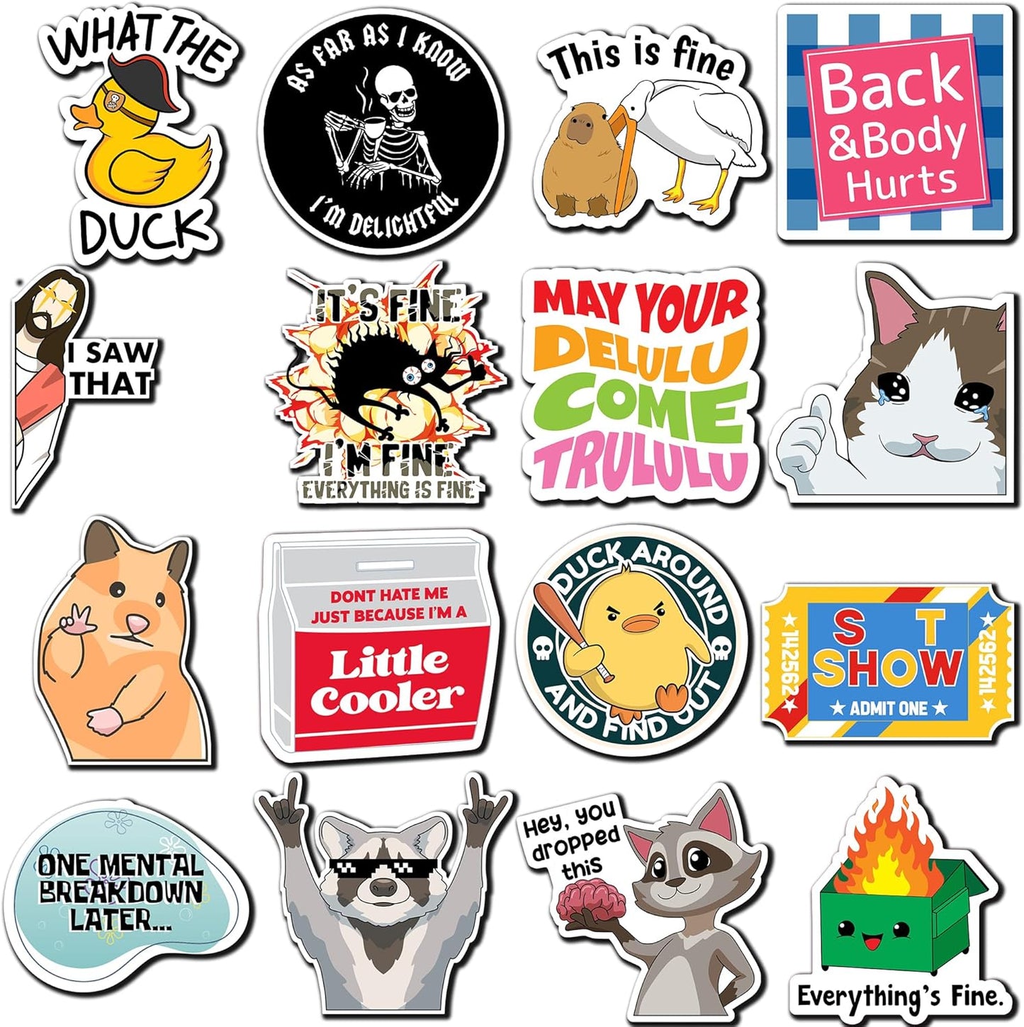 Debinolo 16 PCS Funny Fridge Magnets for Adults, and Words for Refridgerator Cabinet Door Dishwasher Filing Cabinets Tool Box Home/Office Decorations (16, Funny)