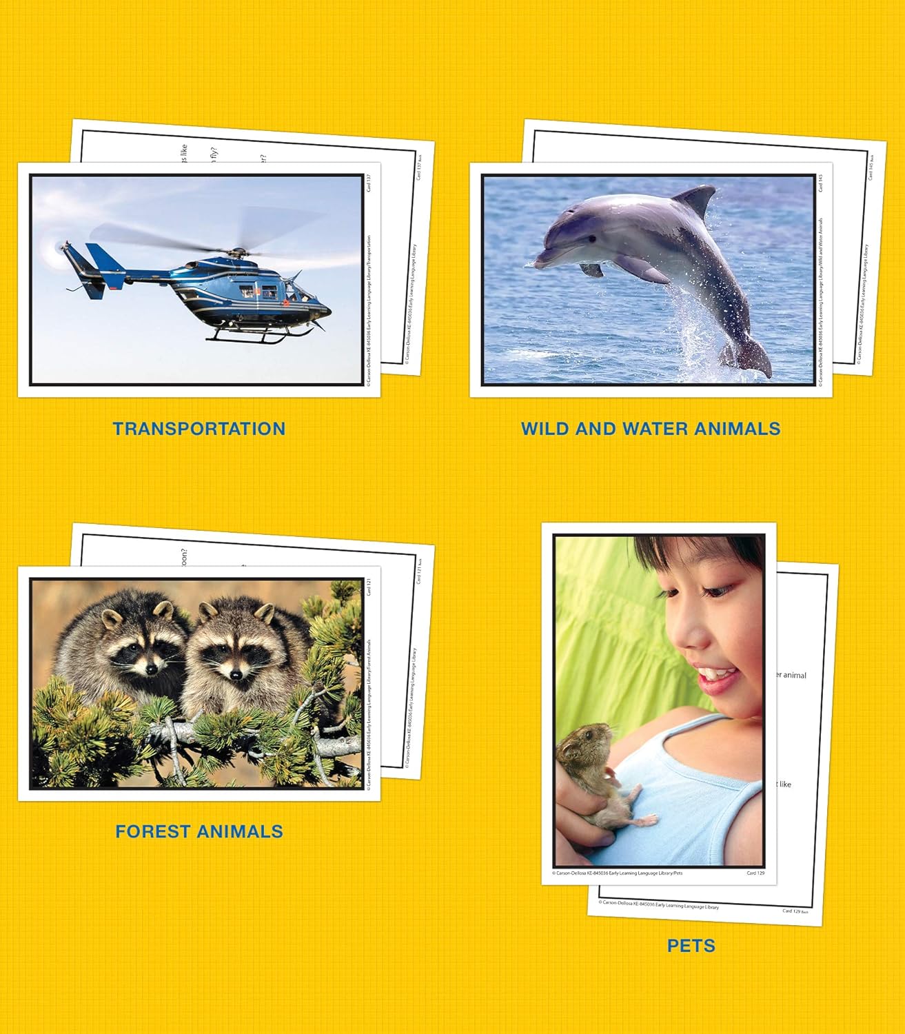 Key Education 160 Early Learning Toddler Flash Cards Ages 3+, Photographic Vocabulary for Toddlers, Speech Therapy for Preschool & Kindergarten Special Learners