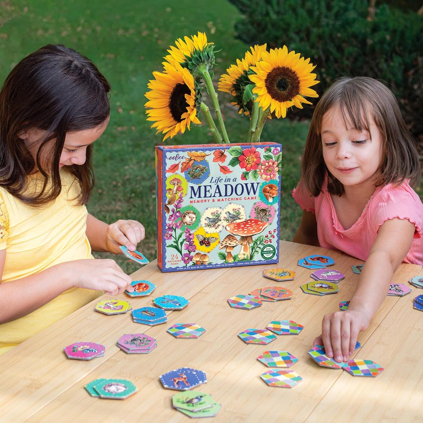 eeBoo: Memory and Matching Game - Life on Earth- 24 Pairs, Develops Recognition, Concentration, Memory & Vocabulary Skills, Age 3+