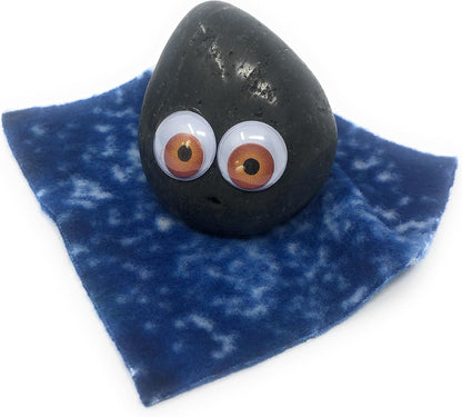 Rock Pet Adoption Kit Funny Novelty Gag Gift (Green Eyes)