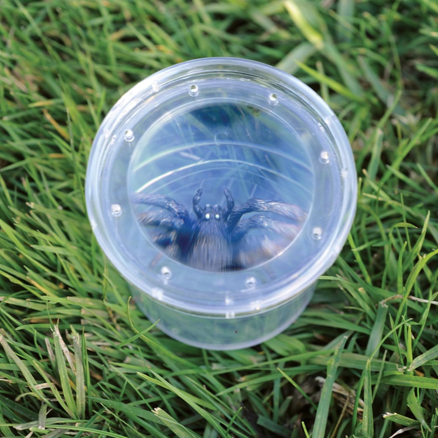Educational Insights GeoSafari Bug Viewer, Catch & Watch Bugs, Outdoor Play For Ages 4+
