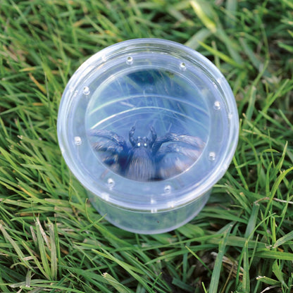 Educational Insights GeoSafari Bug Viewer, Catch & Watch Bugs, Outdoor Play For Ages 4+
