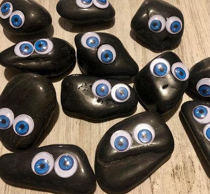 Rock Pet Adoption Kit Funny Novelty Gag Gift (Green Eyes)