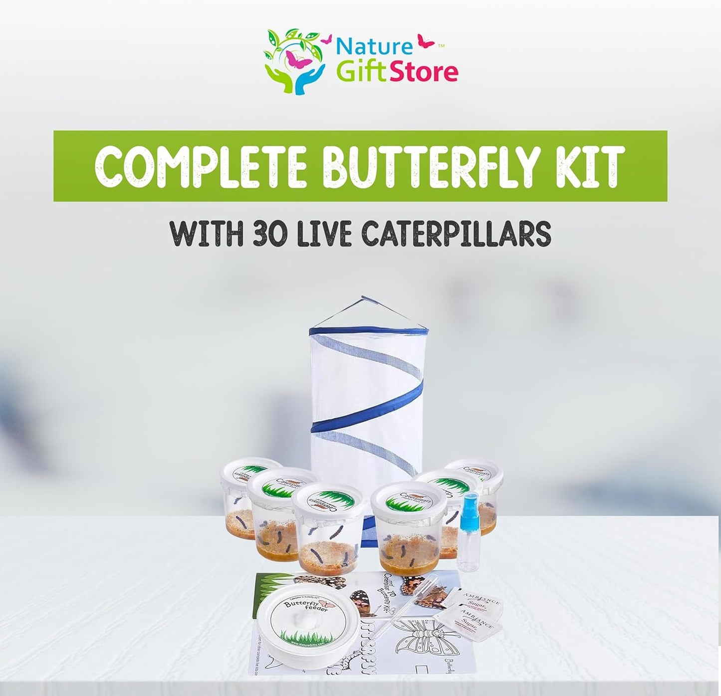 Nature Gifts Live Butterfly Kit - School-Sized Educational Experience with 30 Painted Lady Caterpillars in 6 Cups - Pop-Up Cage, and Comprehensive Rearing Supplies for Classroom Engagement