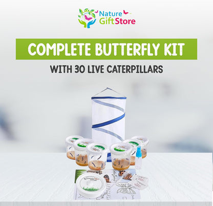 Nature Gifts Live Butterfly Kit - School-Sized Educational Experience with 30 Painted Lady Caterpillars in 6 Cups - Pop-Up Cage, and Comprehensive Rearing Supplies for Classroom Engagement