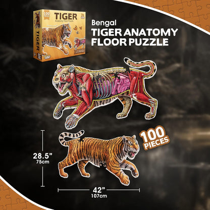 Bullfrog Animal Anatomy Floor Puzzle | 100-Piece Double Sided Jigsaw Puzzle | Large-Sized, Over 4 Feet Scientifically Accurate Illustration of Frog - Fun and Educational Toy for Kids, Toddlers