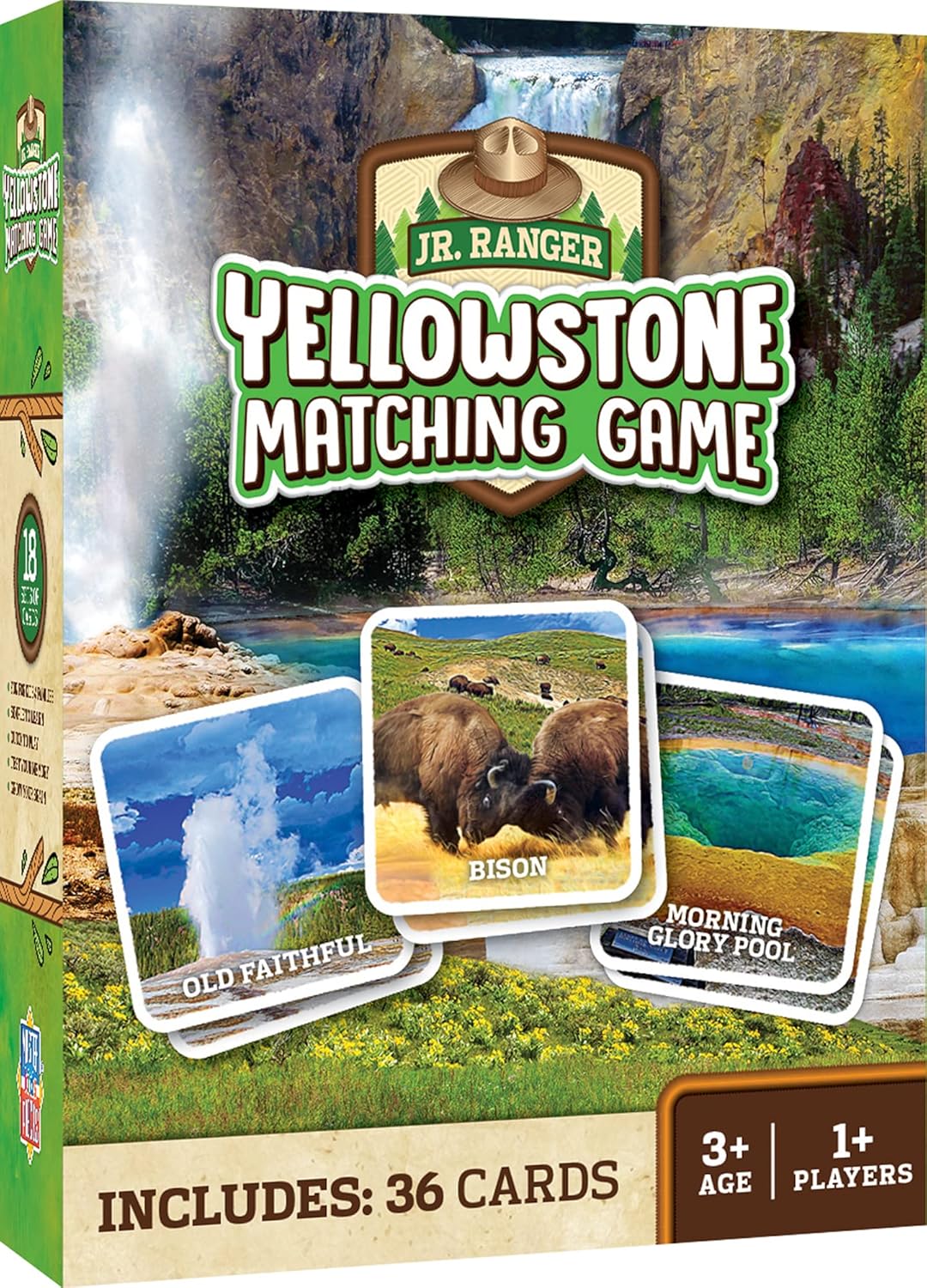 MasterPieces Officially Licensed CAT Picture Matching Card Game for Kids and Families