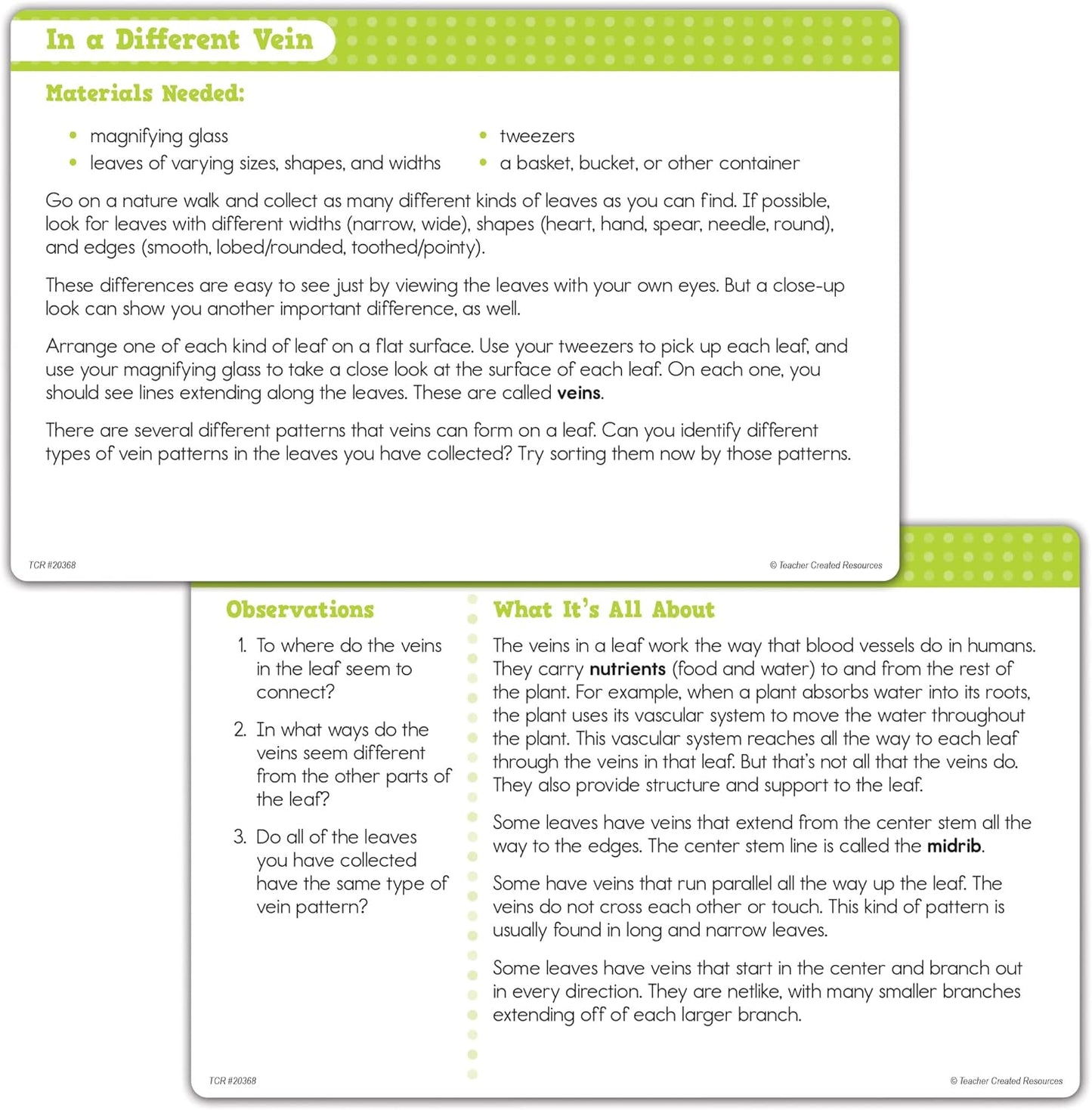 Teacher Created Resources Up-Close Science: Magnifying Glasses & Tweezers Activity Set (TCR20368)