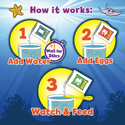 The Original Sea Monkeys - Ocean Zoo - Grow Your Own Pets Science Kit- Includes Eggs, Food, and Water Purifier, Color May Vary