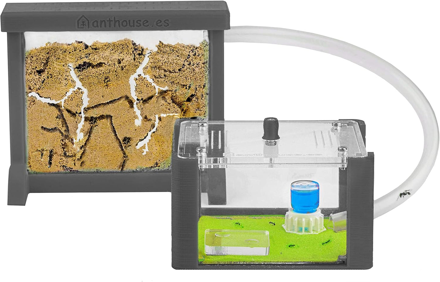 Anthouse.ES - Natural Sand Ant Farm - Basic Acrylic Kit (Sandwich + Foraging Box) - 12x10x1 cm and 18x10x5 cm