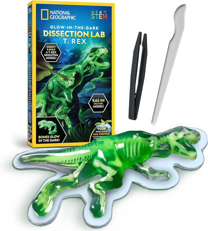 National Geographic Shark Dissection Kit – Glow in the Dark Great White Shark Anatomy Lab with 12 Bones & Organs, Refill Pack, Kid-Friendly Tools & Learning Guide