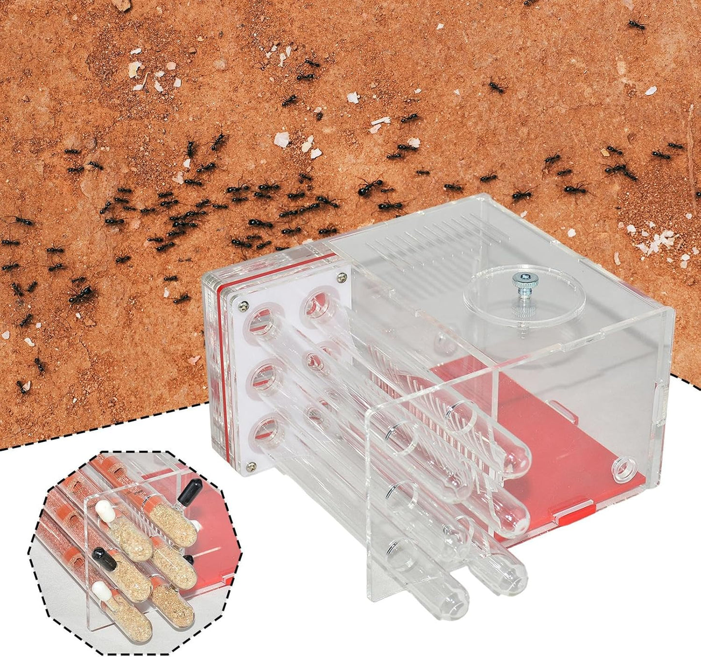 ANT Housing Nest ANT Farm Clear DIY Supplies Compact Workshop Habitat for Childrens Day Living Room Tabletop Bedroom Kitchen, 1.5cm