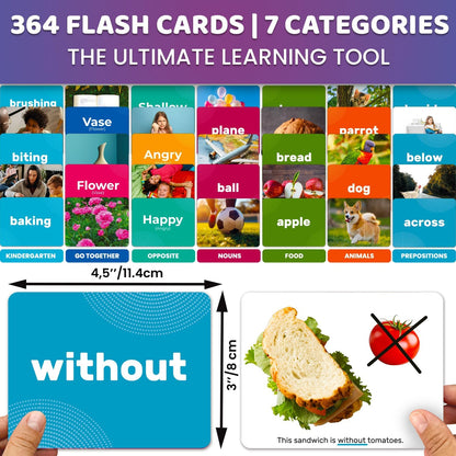 QUOKKA 104 Noun Flash Cards Set – Kids and Adults Vocabulary Builder for ABA Therapy, Early Childhood Education, and ESL Teaching – Picture Cards for Speech Therapy and Vocabulary Building Activities