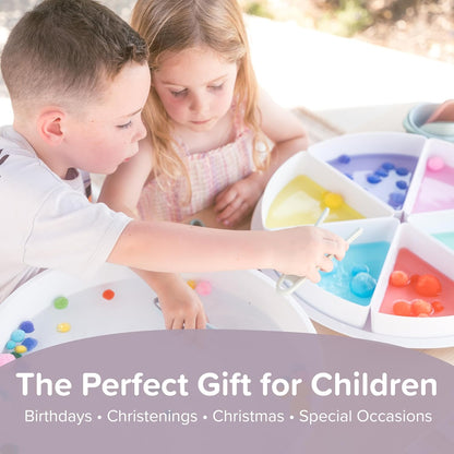 Inspire My Play Starter Bundle - Sensory Bin with Lid and Removable Storage Inserts