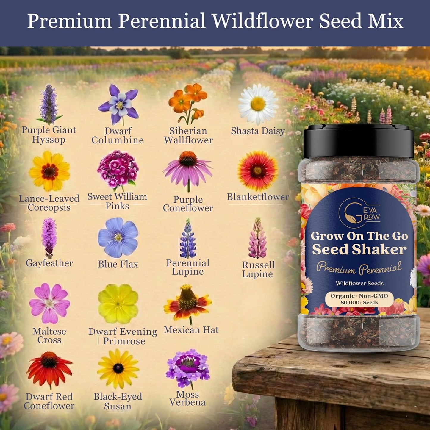 Mini Wildflower Seed Shaker - Save The Bees Seed Mix, by GevaGrow | 80,000+ Seeds | Pollinator & Bee Attracting Flower Seeds Bulk for Planting in Pots & Outdoor Gardens | 2 Ounce
