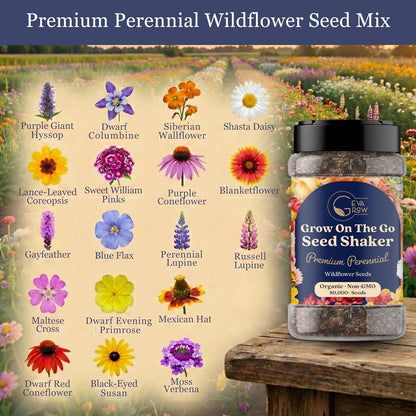 Mini Wildflower Seed Shaker - Save The Bees Seed Mix, by GevaGrow | 80,000+ Seeds | Pollinator & Bee Attracting Flower Seeds Bulk for Planting in Pots & Outdoor Gardens | 2 Ounce