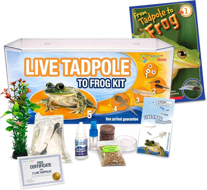 Tadpole to Frog Starter Kit - Includes Certificate for 2 Live Tadpoles - All-in-One Bundle with Habitat, Food, Instructions - Ideal for Education and Home Observation