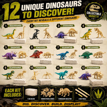 12 Pack Dinosaur Excavation Dig Kit for Kids, Dino Fossil Dig Kits with 3D Skeleton Toys, Bulk STEM Science Paleontology Archaeology Educational Toys, Birthday Party Favors for Boys Girls